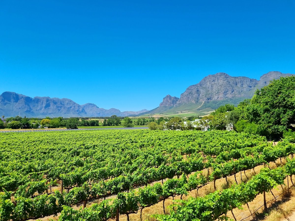 Vrede en Lust Wine Estate
