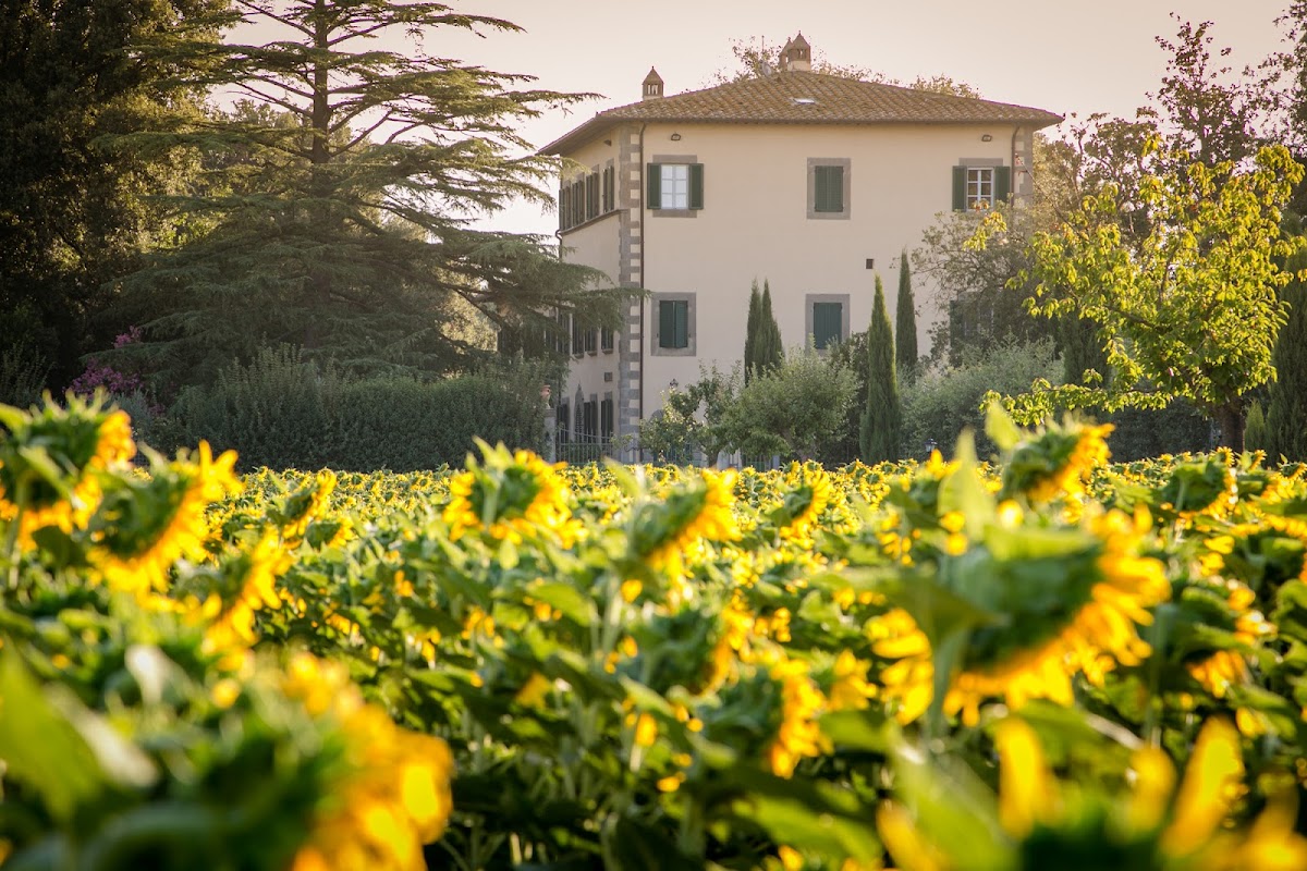 Villa Ivana - Cortona