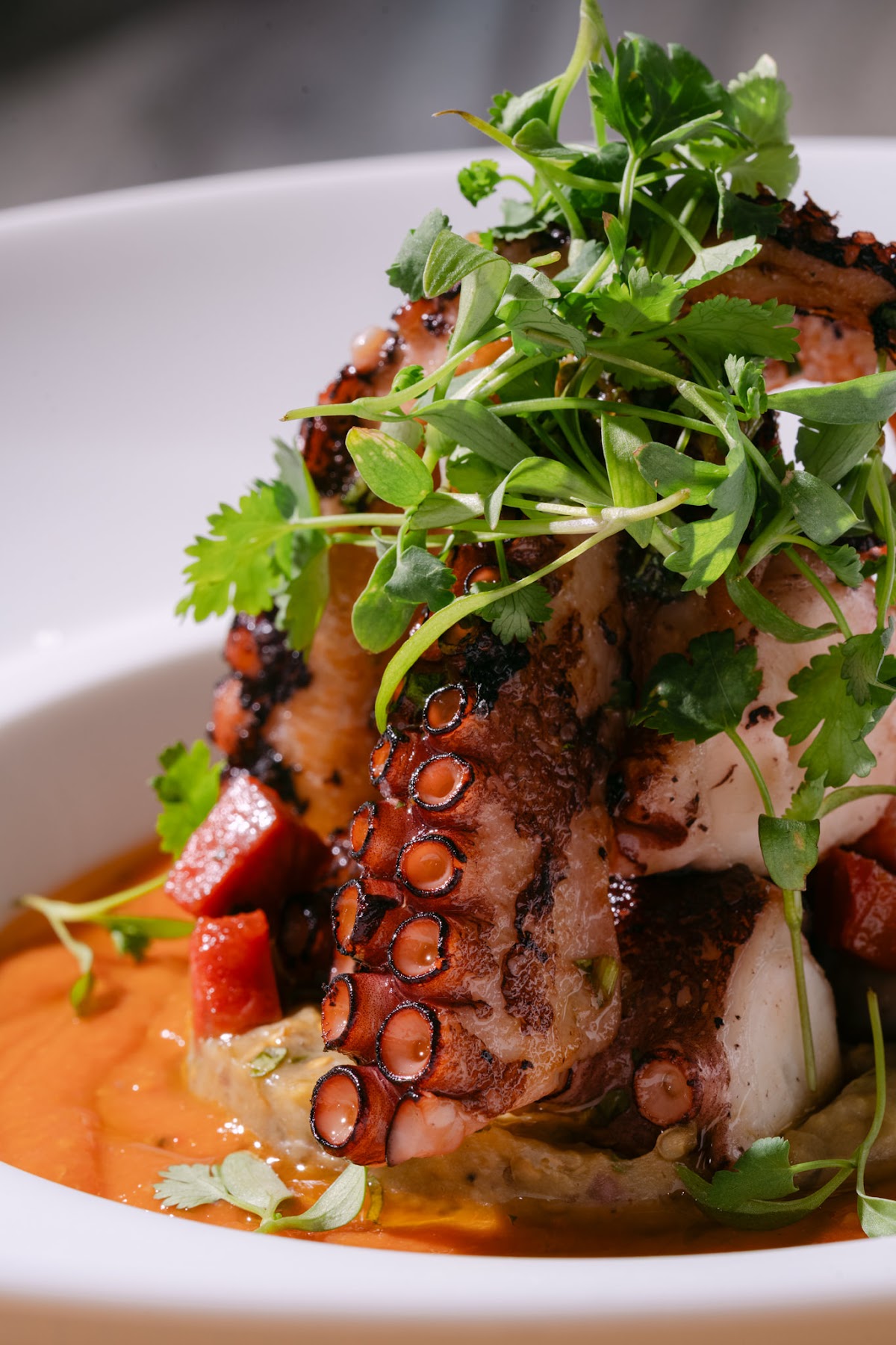 Le Deli Robuchon