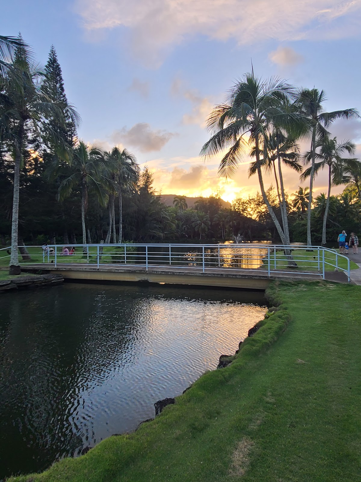 Smith Family Garden Luau