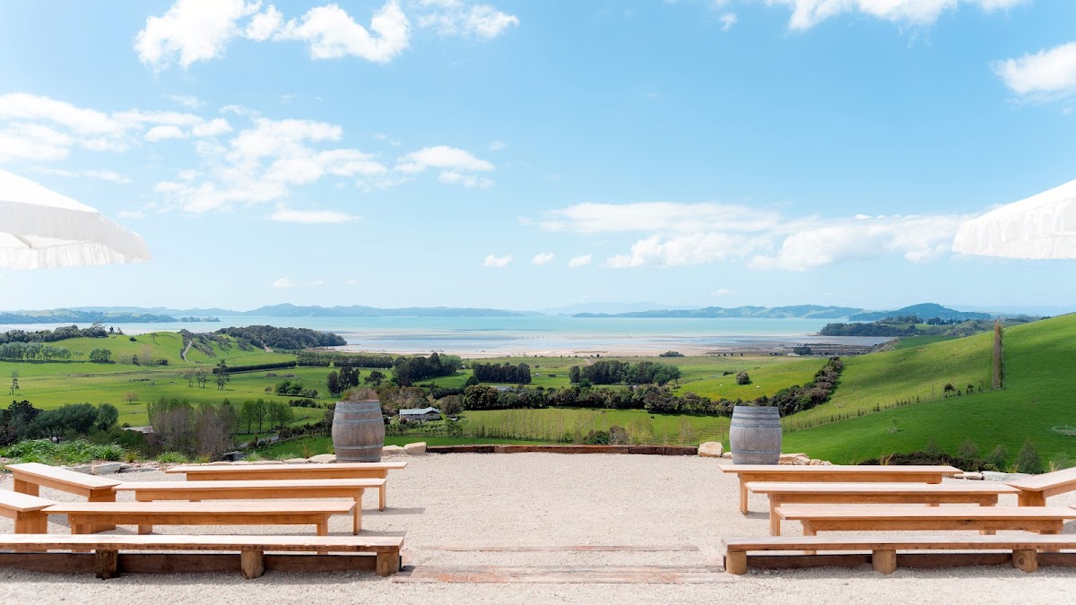 Kauri Bay Auckland