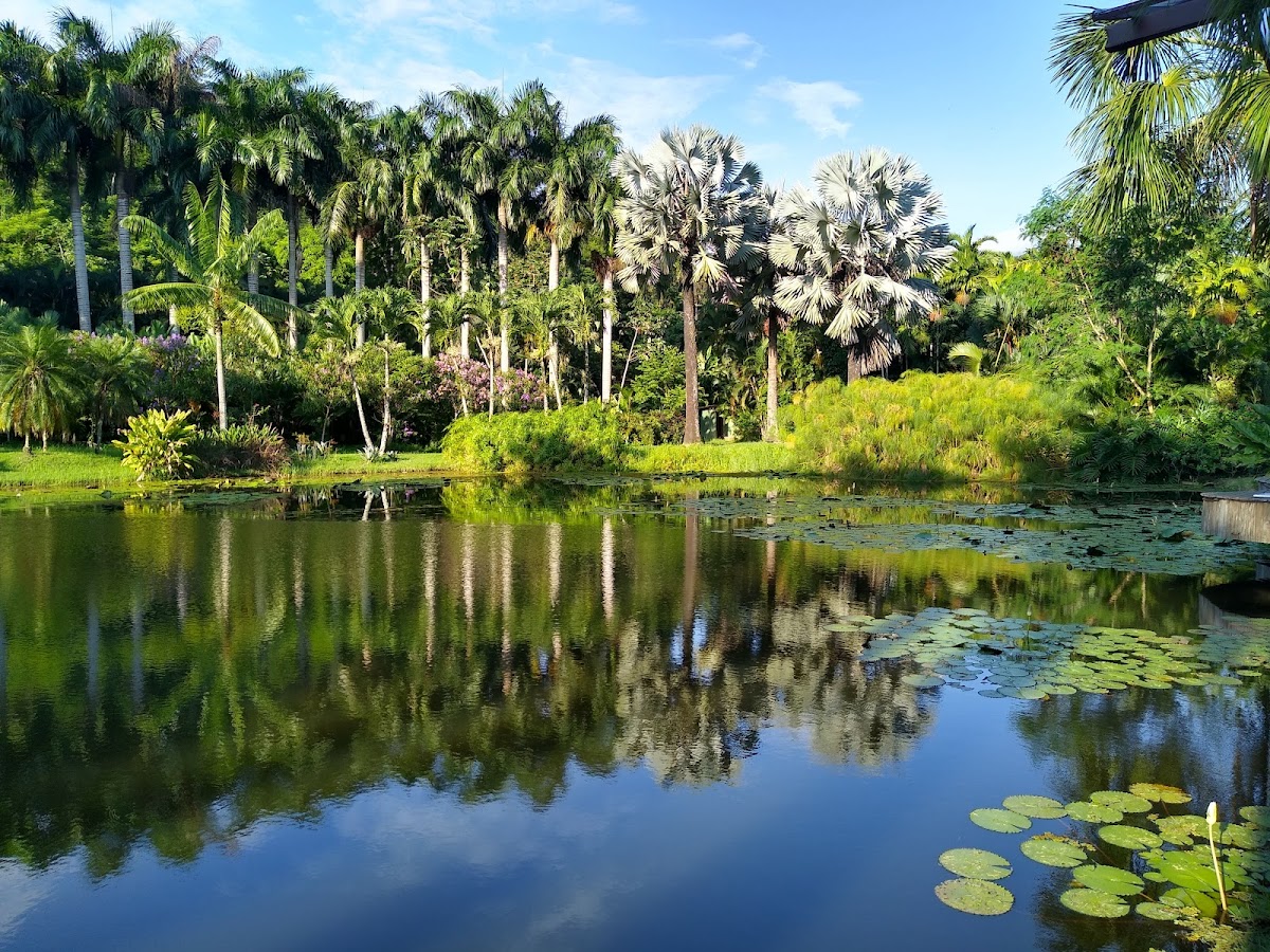 Lago Buriti