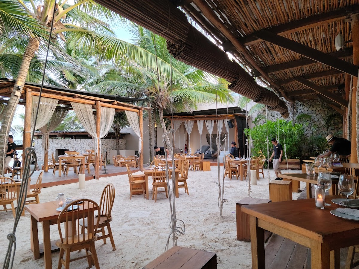 Taboo | Best Beach Club Tulum