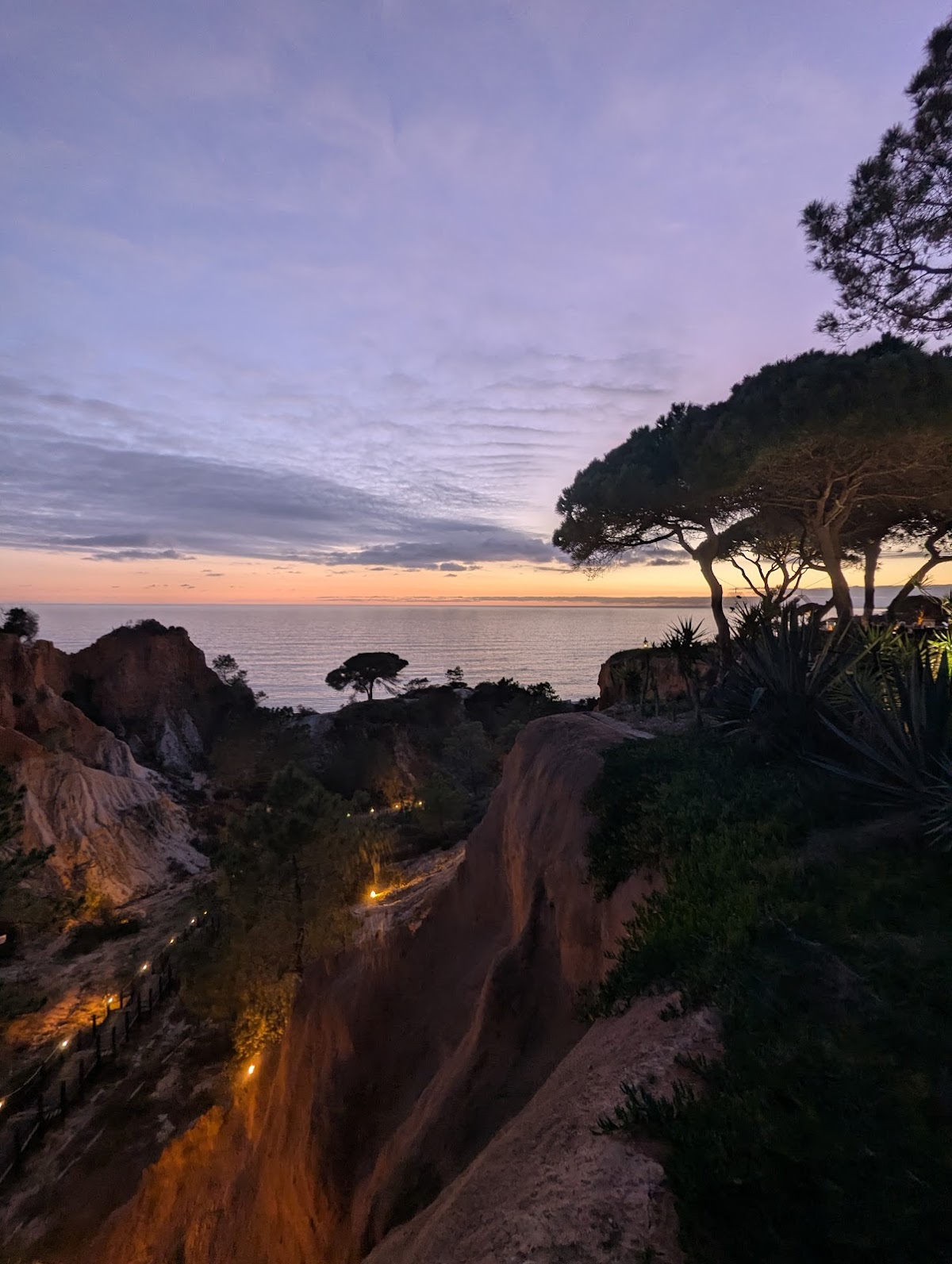 Mirador Champagne Bar